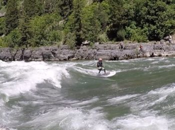 surfing Lunch Counter